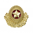 Кокарда общевойсковая с обрамлением